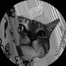 うさぎロール profil fotoğrafı