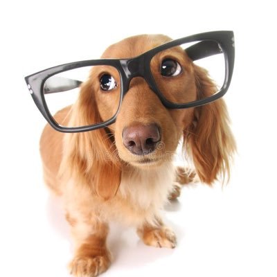 fleabag da serrinha's profile picture