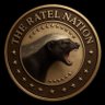 Profilbild von The Ratel Nation