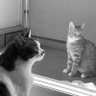 ヘソのクリ 的头像