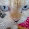 CallmeeKen's profile picture