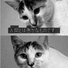 naaaago 的头像