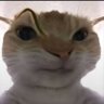 พันพรือ profil fotoğrafı