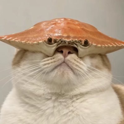 hlblb's profile picture