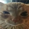 jasonduel profil fotoğrafı