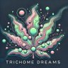 Фото профиля TRICHOME DREAMS | NFT
