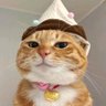 ✨mindginn profil fotoğrafı