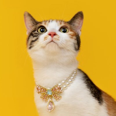 นับวันรออ's profile picture
