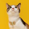 นับวันรออ profil fotoğrafı