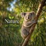 Nature in Motion's profile picture