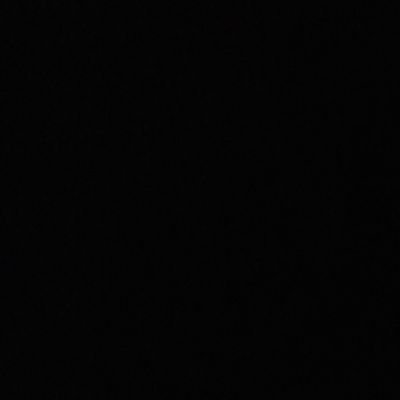LarissaBua33267's profile picture