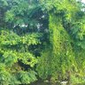 Фото профиля ettirankandath