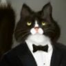 Profilbild von MAster