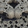 Фото профиля fractal_bean