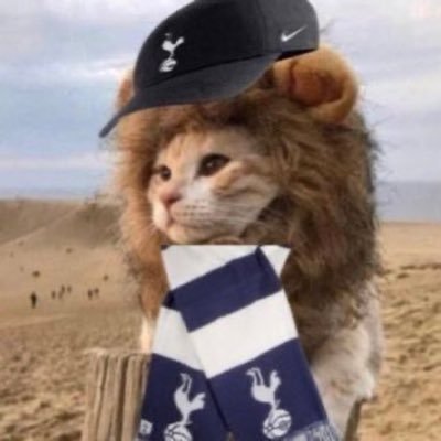 JK4's profile picture