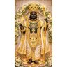 Фото профиля Sunil Menon