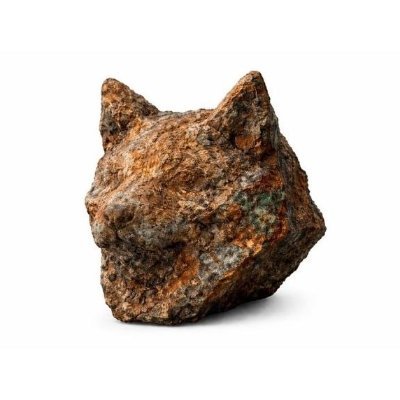 copper_inu's profile picture