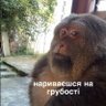 Фото профиля Levi