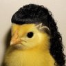 Profilbild von Kaze