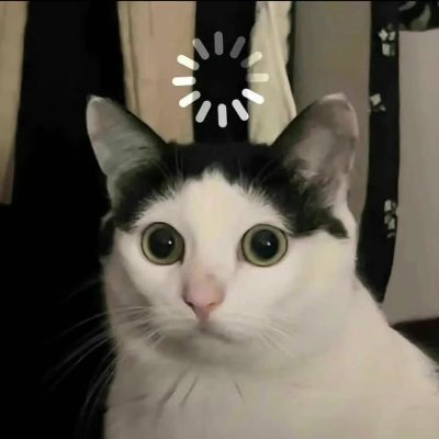 place where cat shouldn't be's profile picture