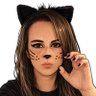 Profilbild von Oasis Katt