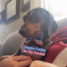 Profilbild von BB Says America First