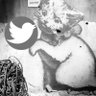 💟emiko🌈消費税と原発は廃止🐾's profile picture