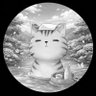 温泉ねこ♨@変形性膝関節症Ⅱ's profile picture