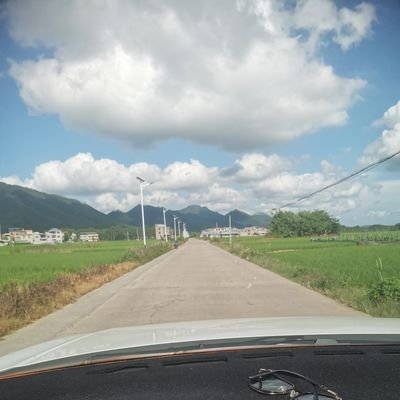haoxiangcao2's profile picture