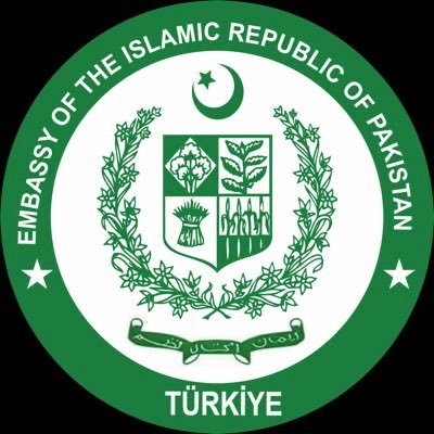 PakinTurkiye's profile picture