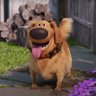 Dug's profile picture