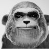メケメケ's profile picture
