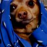 MmewaBobbi hate account's profile picture