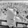 Фото профиля うっきぃ🐻