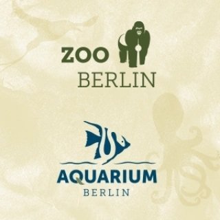 zooberlin's profile picture