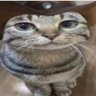 Profilbild von Local Autist