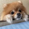 Tpyy's profile picture