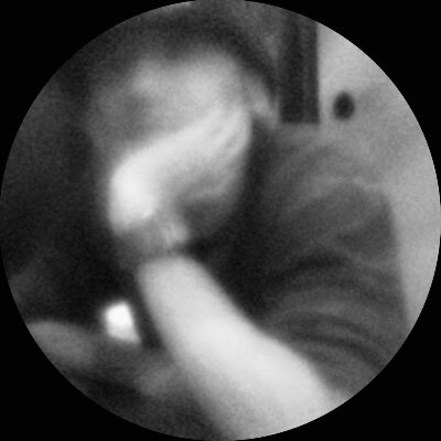 poetly's profile picture