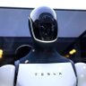 broke $tsla boy's profile picture