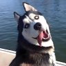 Profilbild von Kaisen