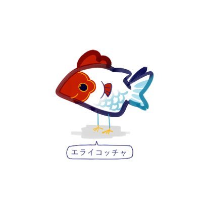 erai_k0ccha's profile picture