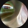 shlump's profile picture