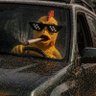 Sue Baru™️'s profile picture