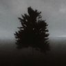Фото профиля Ethan C.