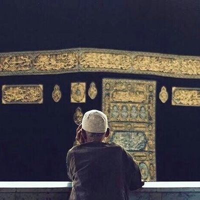 lamSeharKhan's profile picture