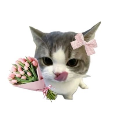 𐙚 เอ็นเอ็น ₊˚⊹♡🐰ྀི's profile picture
