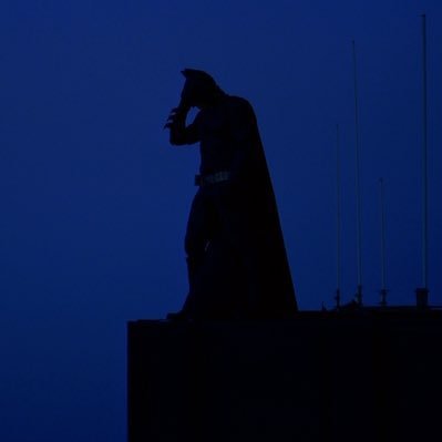 LicNou's profile picture
