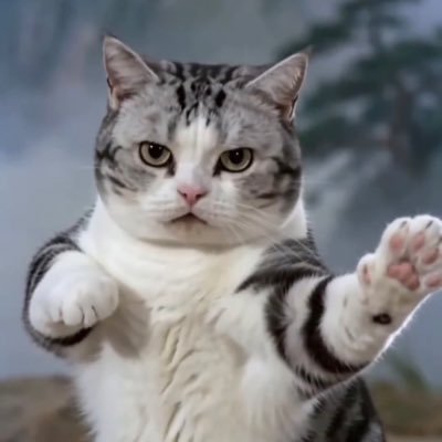82_82828282's profile picture