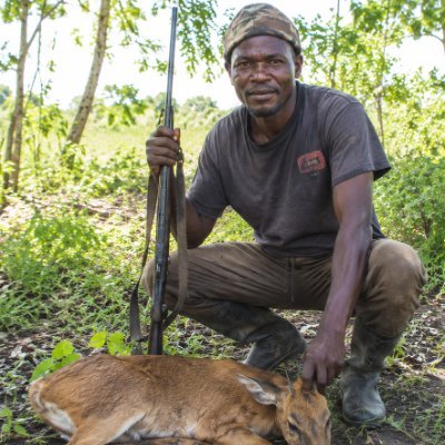 NatureAwarenessNG's profile picture