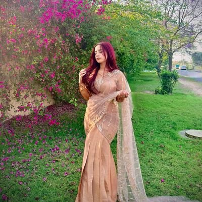 AnjumKhan 🇦🇫's profile picture